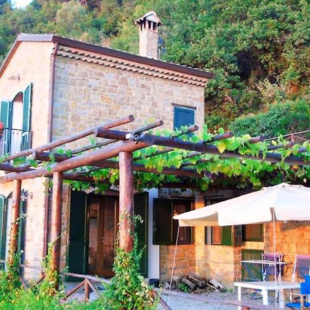 Bellezza In Cilento Panoramic Apts Castellabate Exteriör bild