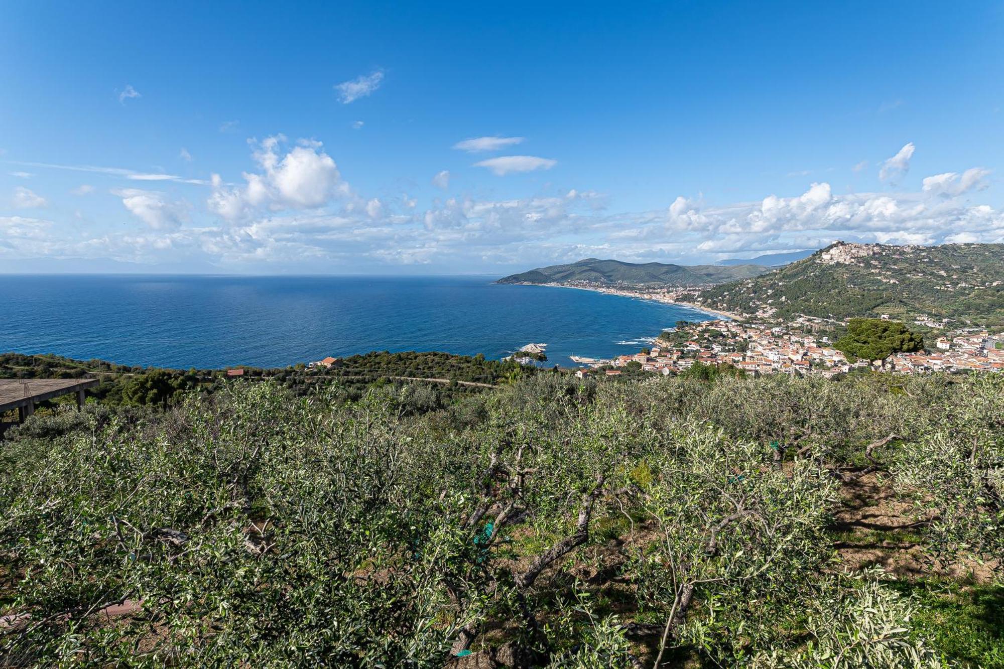 Bellezza In Cilento Panoramic Apts Castellabate Exteriör bild