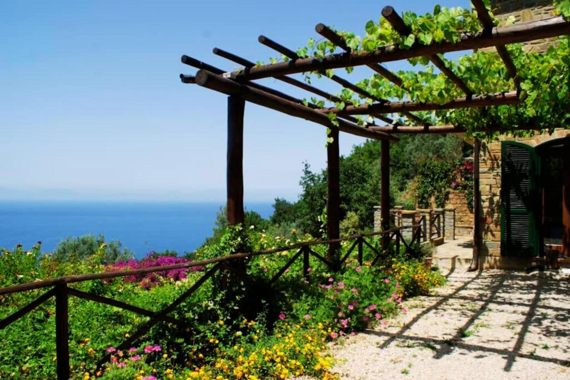 Bellezza In Cilento Panoramic Apts Castellabate Exteriör bild